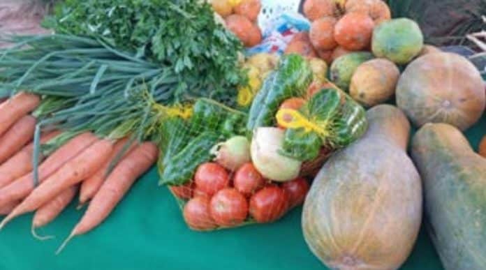 producción frutihortícola